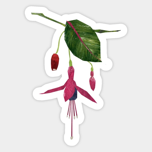 Fuchsia Sticker by Babban Gaelg